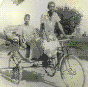 Placeholder: the original page gave this picture no description, and none has been written yet. It came from daaiz\daaiz\special\a1506.asp.