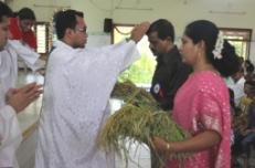Placeholder: the original page gave this picture no description, and none has been written yet. It came from daaiz\daaiz\special\news\vasai.asp.