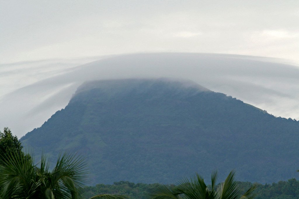 ajjikunja